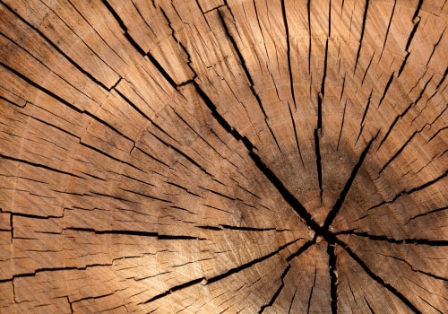 Tree Stump Removal in Oregon: A Smart Step Before Using Property Listing Services